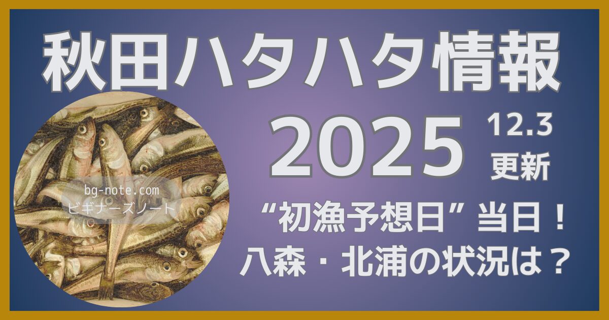 【2025秋田ハタハタ】12.3更新｜きょうは“初漁予想日”当日。各漁港の動きは？