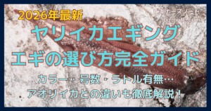 ヤリイカエギング エギの選び方完全ガイドの記事のサムネイル