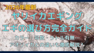 ヤリイカエギング エギの選び方完全ガイドの記事のサムネイル