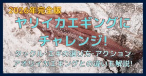 ヤリイカエギングにチャレンジ!タックル・エギの選び方・アクション解説の記事サムネイル