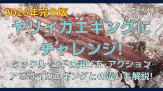 ヤリイカエギングにチャレンジ!タックル・エギの選び方・アクション解説の記事サムネイル