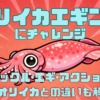 【2026年版】ヤリイカエギングにチャレンジ！アクションや釣り方、アオリイカとの違い