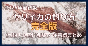 冬の夜釣りで釣れた大型ヤリイカの釣果。磯の岩の上で撮影した実物写真