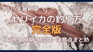 冬の夜釣りで釣れた大型ヤリイカの釣果。磯の岩の上で撮影した実物写真