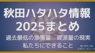 2025年秋田季節ハタハタ、接岸状況や不作となった原因をまとめた記事のサムネイル