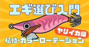 エギ選び入門、ヤリイカエギングでのカラーローテーションの考え方記事のサムネイル