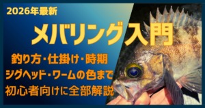 2026年最新、メバリング初心者入門完全ガイドの記事サムネイル