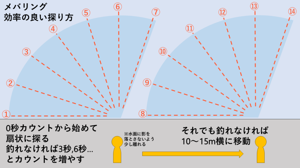 メバリングの基本の釣り方、やり方、効率のいい探り方を解説した挿絵イラスト