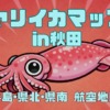 秋田でヤリイカが釣れる場所を解説した記事のサムネイル。
