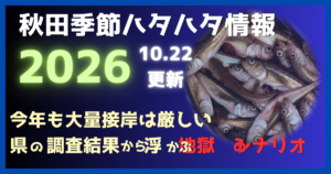 2026年秋田の季節ハタハタ情報を紹介する記事のアイキャッチ画像。大量のハタハタの写真を背景に「今年も大量接岸は厳しい」「県の調査結果から浮かぶ地獄のシナリオ」と表示。10月22日更新。