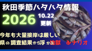 2026年秋田の季節ハタハタ情報を紹介する記事のアイキャッチ画像。大量のハタハタの写真を背景に「今年も大量接岸は厳しい」「県の調査結果から浮かぶ地獄のシナリオ」と表示。10月22日更新。