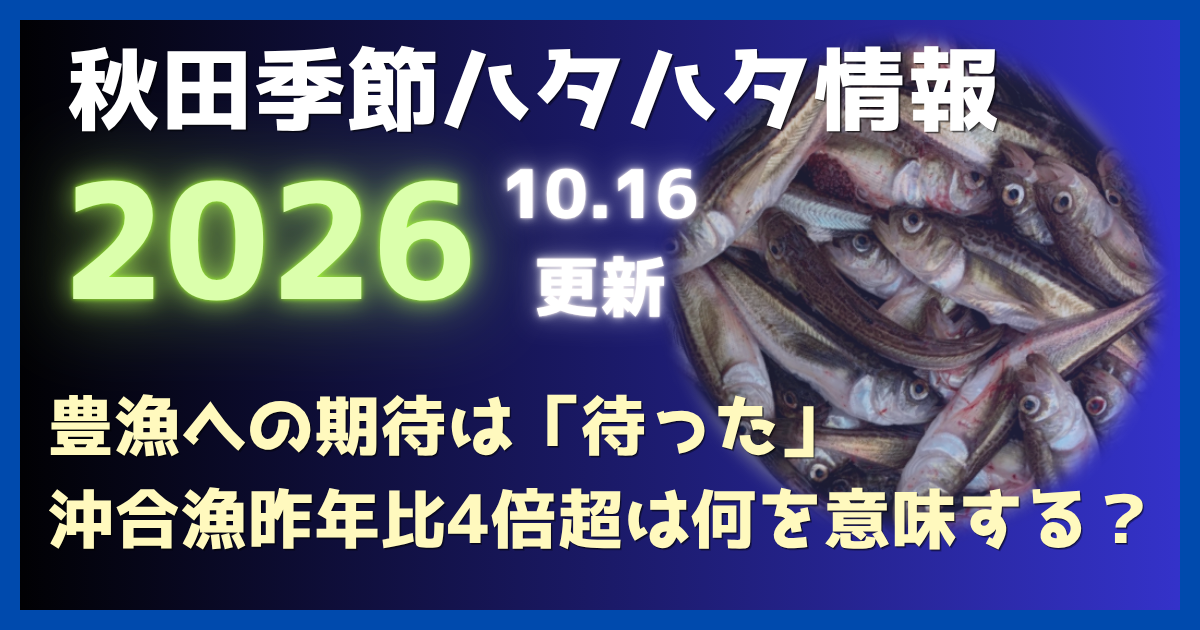 【2026秋田ハタハタ】豊漁への期待は「待った」。"沖合漁が昨年比4倍超"は何を意味する？