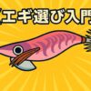 エギ　選び方　釣れる　大漁　爆釣　シマノ　クリンチ　ダイワ　エメラルダス　エギ王　エギ王K エギ王サーチ　エギ王LIVE ヤマシタマリア　YAMARIA ヤマシタ　YAMASHITA