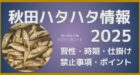 2025年最新版秋田季節ハタハタまとめ記事のサムネイル。記事はハタハタの習性、接岸時期考察、仕掛け、禁止事項・ポイント（場所）などを網羅。