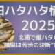 秋田ハタハタ情報2025 12月8日更新 北浦で雌ハタハタ1匹 隣県では苦渋の決断“禁漁”へ
