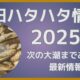 秋田ハタハタ情報2025